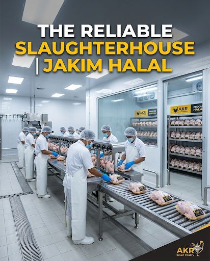 Overhead halal chicken processing line inside AKR Smart Poultry plant, Semenyih Selangor